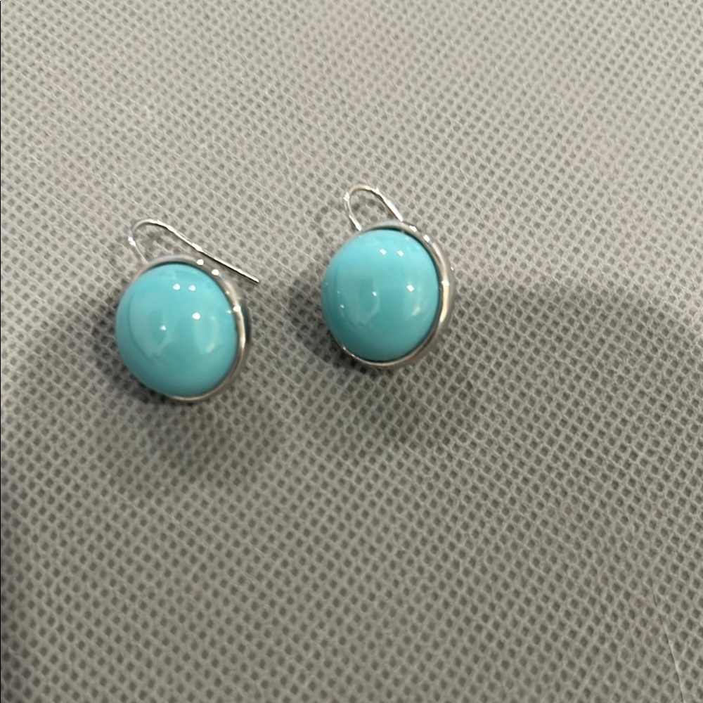 Elegant Silver and Turquoise Earrings